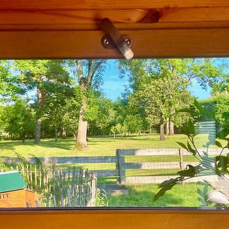 O Et Terre, Gite Ressourcement Bains Spa Cryo Sauna Et Foret Dormelles Exterior foto